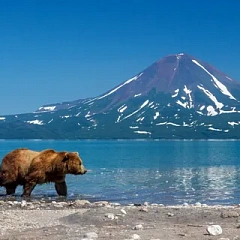 Камчатский филиал